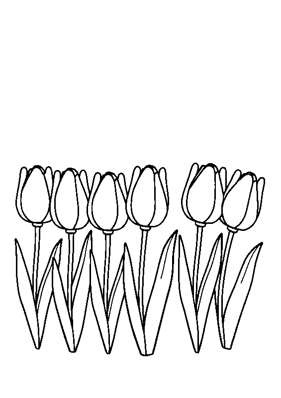 Tulips in a row coloring page