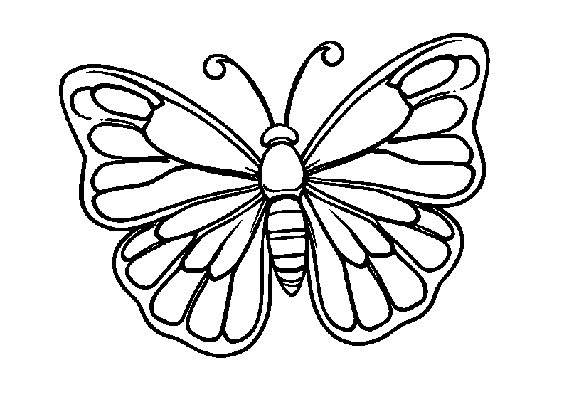 Carina farfalla neonata disegno da colorare