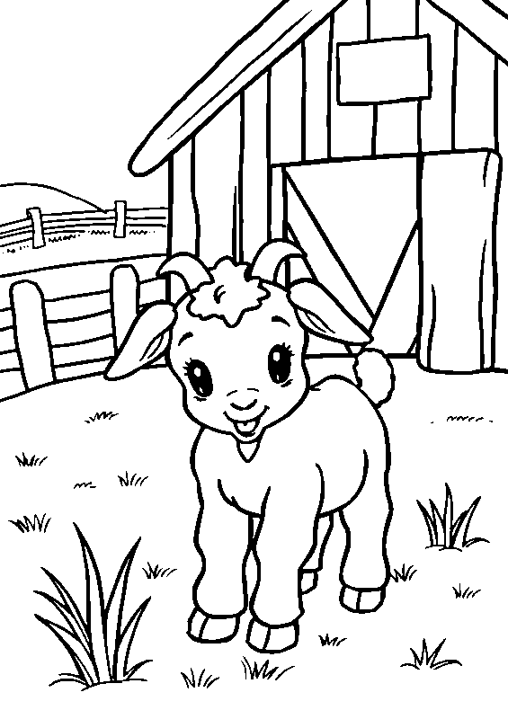 Cabra bebé comiendo hierba dibujo para colorear