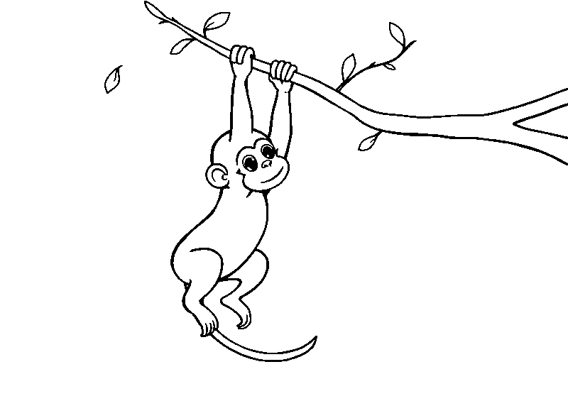 Bebé mono colgando de árbol dibujo para colorear