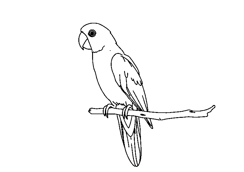 Parrot perched on branch coloring page