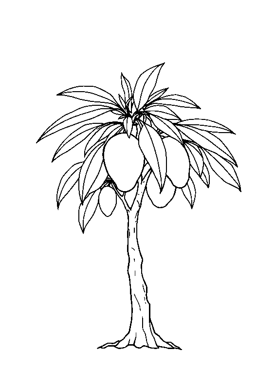 Mango tree with ripe fruit coloring page