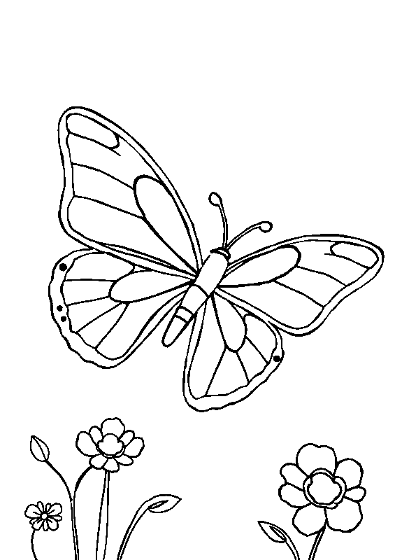 Bold butterfly emerging from cocoon coloring page