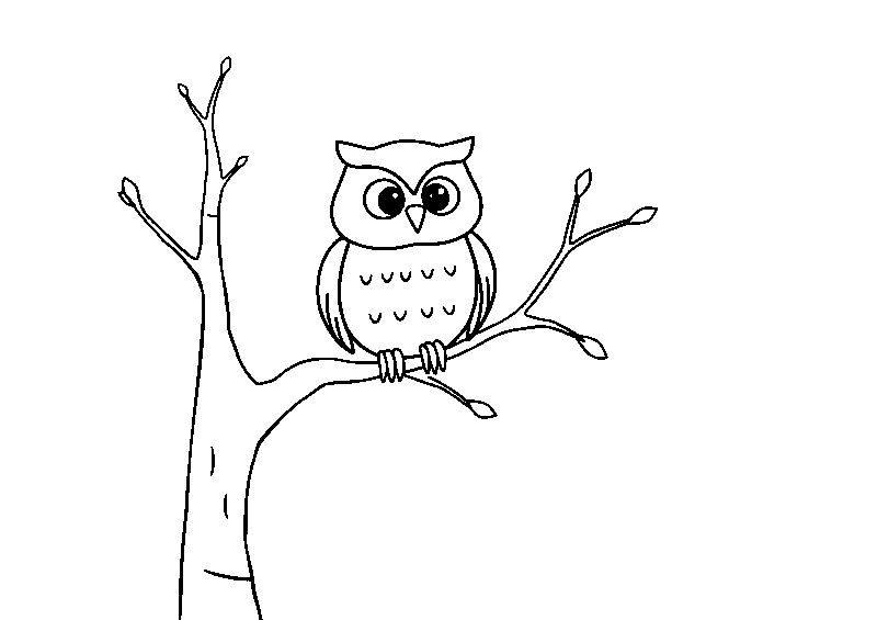 Búho animado en rama dibujo para colorear