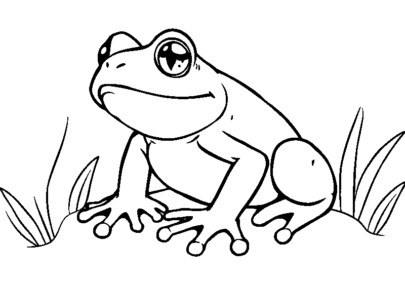 Mignon bébé grenouille coloriage