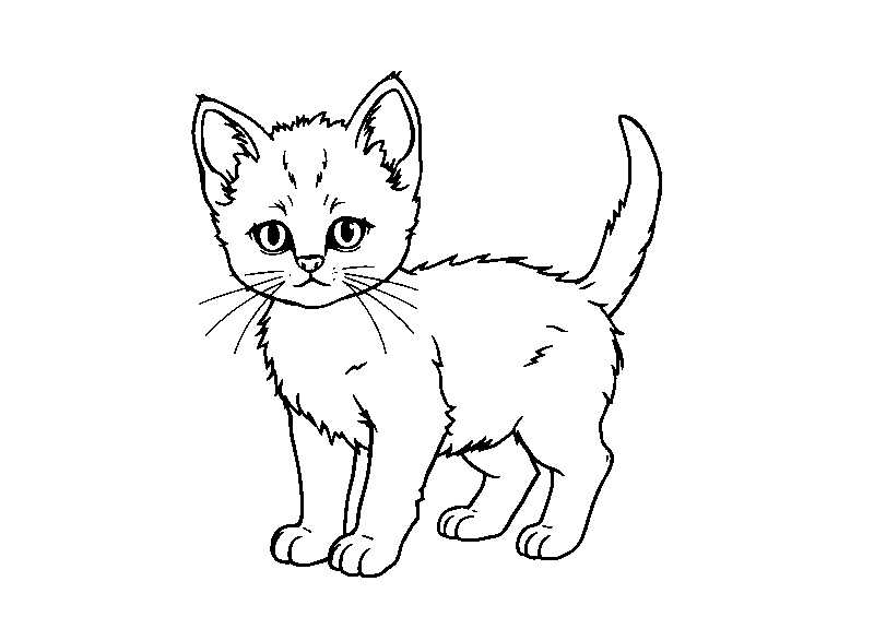 Príncipe gatito real dibujo para colorear