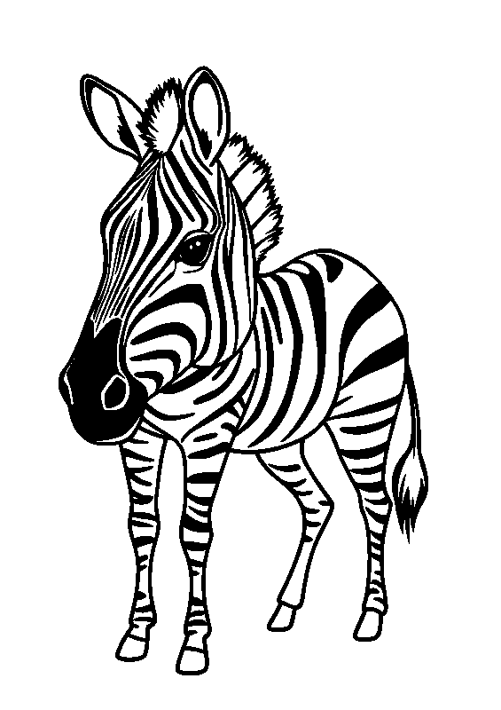 Zebra nella savana disegno da colorare