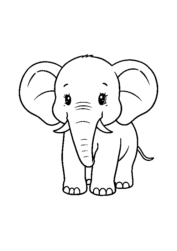 Cute elephant in the jungle coloring page