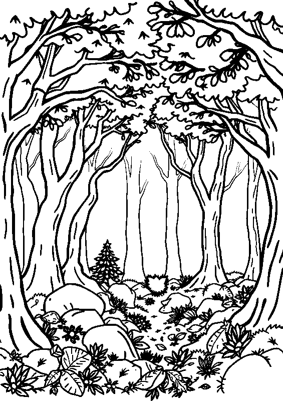 Inside the enchanted forest coloring page