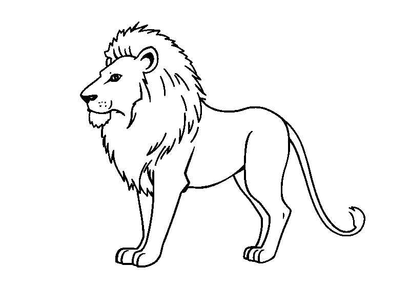 Aslan kükreyişi boyama sayfası