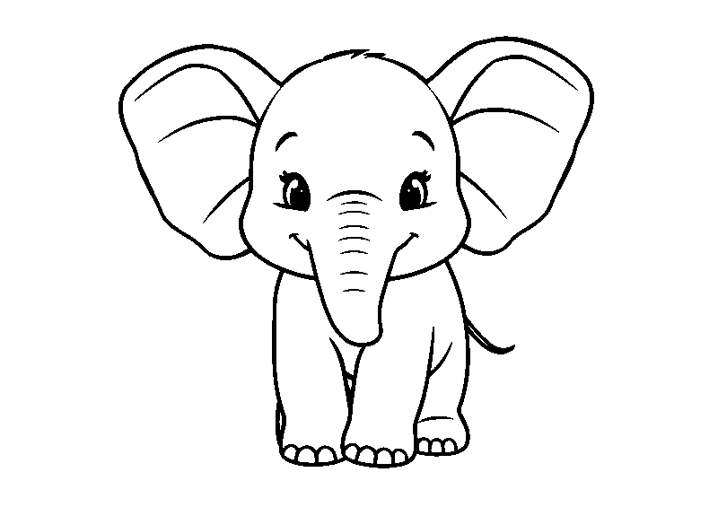 Smiling baby elephant with big ears coloring page