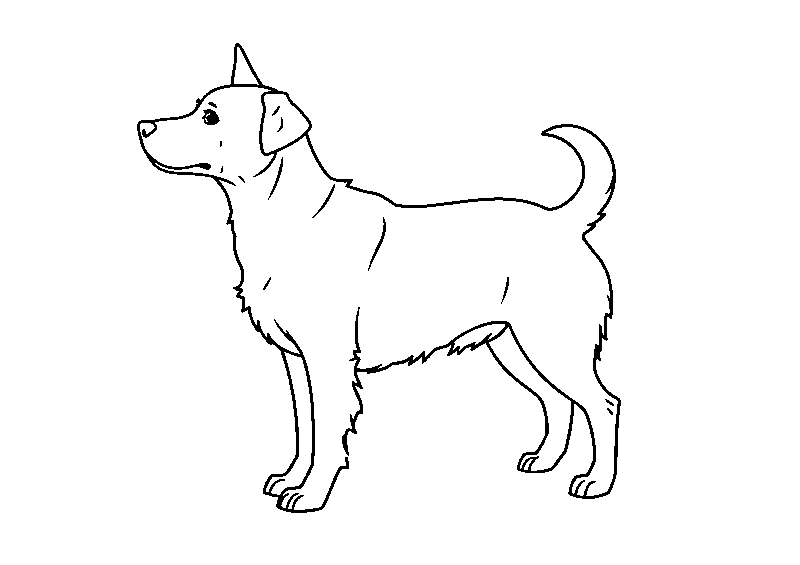 Happy dog chasing ball coloring page