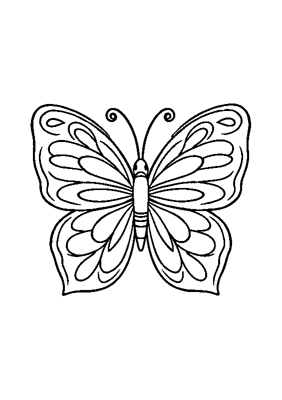 Mandala farfalla semplice disegno da colorare