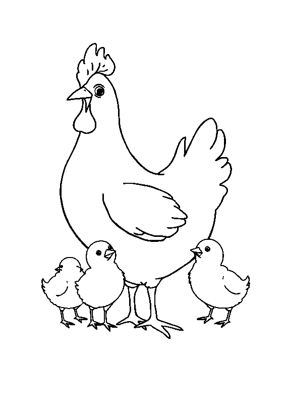 Gallina feliz con pollitos dibujo para colorear
