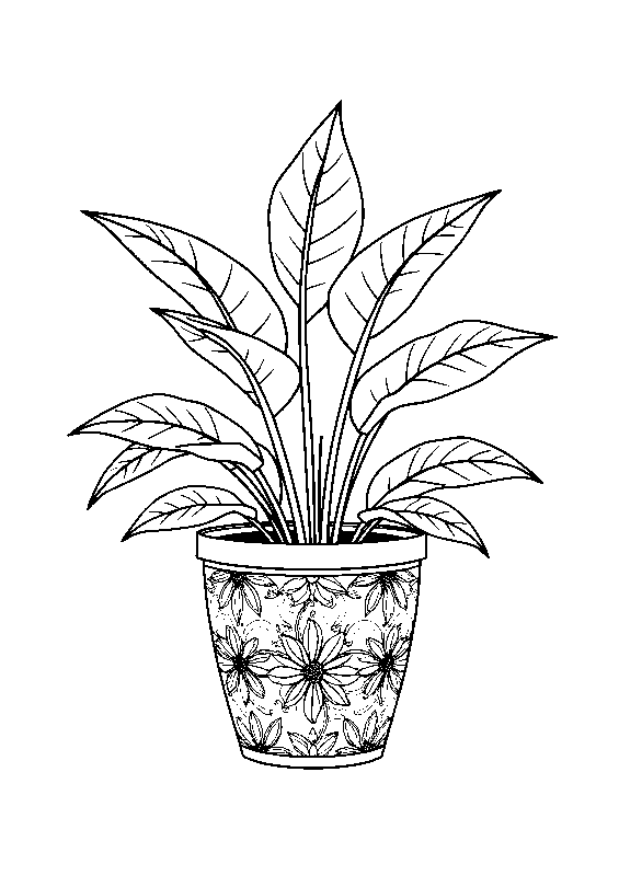 Maca de planta en maceta dibujo para colorear