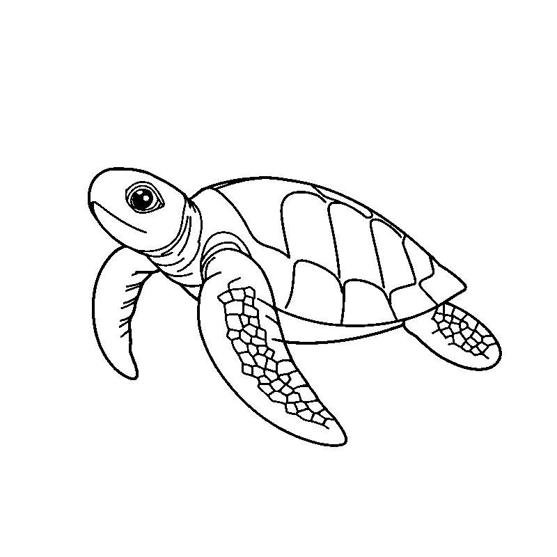 Sea turtle swimming gracefully coloring page
