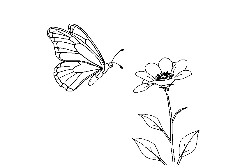 Butterfly flying to flower disegno da colorare
